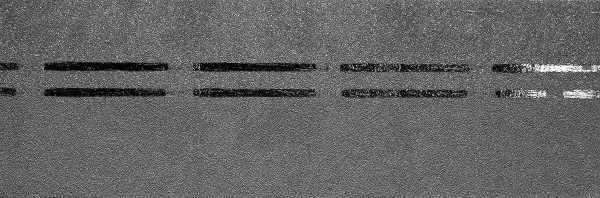 Коньково-карнизная черепица Docke Premium, черника купить в Нальчике