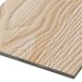 Фиброцементные панели FCSPRO Decor Wood Лиственница купить в Нальчике