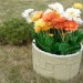 Цветник КАНЬОН купить в Нальчике