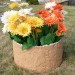 Цветник КАНЬОН купить в Нальчике